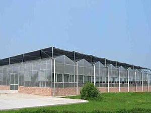 China Glass Greenhouse for sale