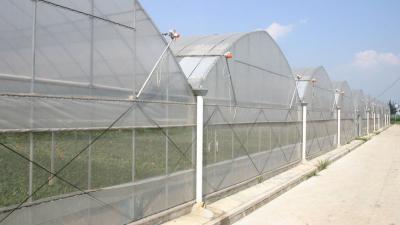 China Cheap commercial greenhouse for sale