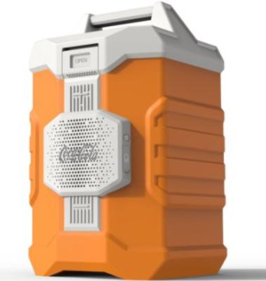 China Waterproof 11 Liter Portable Tiny Cooler Box With Speaker for sale