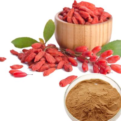 China Wholesale Gojiberry Extract Gijiberry Extract Polysaccharide Powder GQTQW001 for sale