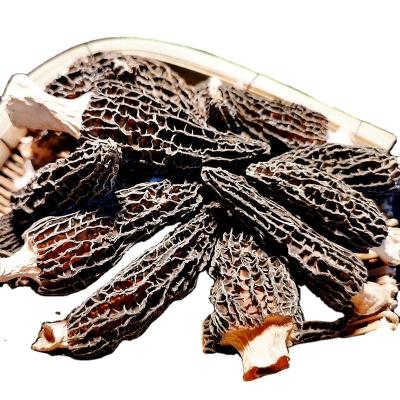 China Health Dried High Quality Morchella Dried Wild Nightshade Mushroom From China Supplier for sale