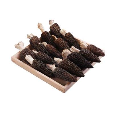 China Best Rich Nutrition Dried Morchella Mushroom Selling Dry for sale