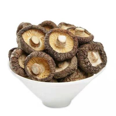 China Hot Sale Dried Dried Food Healthy Shiitake Mushroom for sale