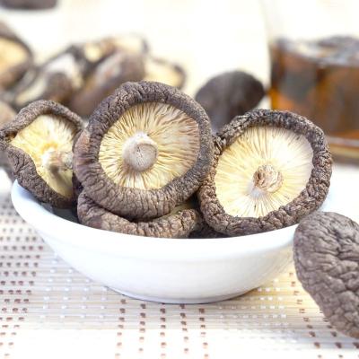 China Dried Bulk Edible Mushrooms Dried Shiitake Mushrooms for sale