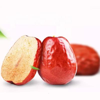 China Hot Sale Dried Dried Date Chinese Superfood Red Jujube Berry For Tea for sale