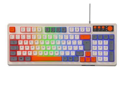 China 94+4 Pcs Multimedia Keys Led Rainbow Backlit Multimedia Gaming Keyboard For Gaming for sale