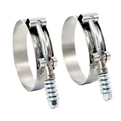 China Health Care China Supplier Stainless Steel 201 304 T Clamp Type Heavy Duty Spring Hose for sale