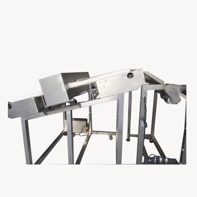 China Inclined Conveyor Food Grade Metal Detector Customized High Stability And Sensitivity for sale