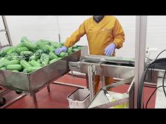 Food X Ray Machine