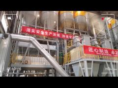 High Efficiency Tile Adhesive Machine Building Industry Dry Mortar Mixing Plant 220V