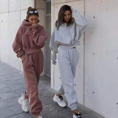 China custom 2 piece women fitness Autumn Winter Jogger Jumper Gym Anti-wrinkle cotton off the shoulder tops plus size woman plus size hoodie for sale