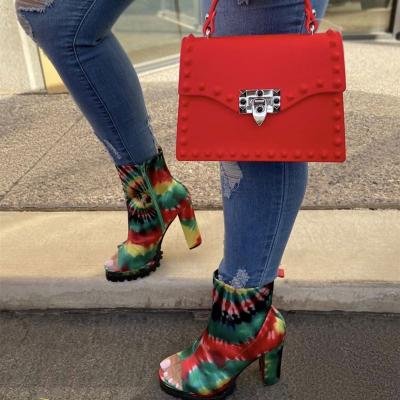 China Hot selling high quality acrylic bag cluth woman clips handbags china jelly purse women bags female handbag for sale