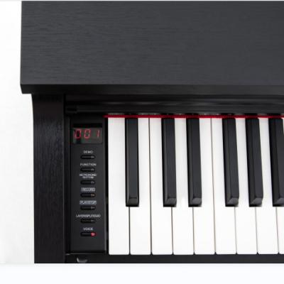 China Function Option: Hammer Action 88 189-Key Bluetooth Digital Piano Polyphony for sale