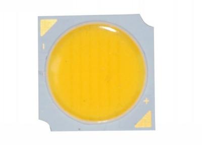 China 20 / 30 Watt 30v	Led Cob Light Panel	Ultra Bright House Lamps for sale