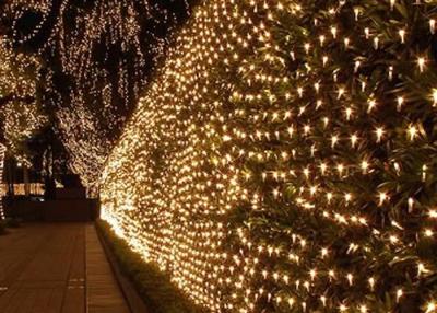 China 8 Modes LED Christmas Tree Net Lights Multi Color Decoration 2x3m 110v for sale