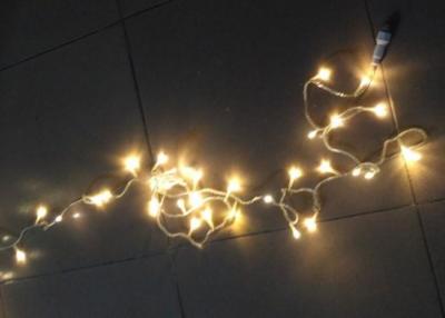 China Christmas Tree LED Curtain Lights , 2*2 Meters Fairy Light Curtain for sale