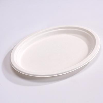 China Modern Custom Logo 10 Inch Disposable Oval Disposable Dinnerware Greaseproof Sugar Cane Biodegradable Bagasse for sale