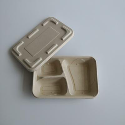 China Custom Biodegradable 9 Inch Rectangle 900ml 3 Compartment Sugar Cane Bagasse Paper Tray Disposable Paper Tray With Lid for sale