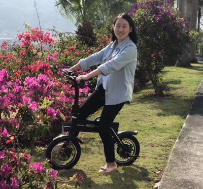 China 150KG Loading Capacity Folding Electric Bike LED Lights With 12inch Wheel for sale