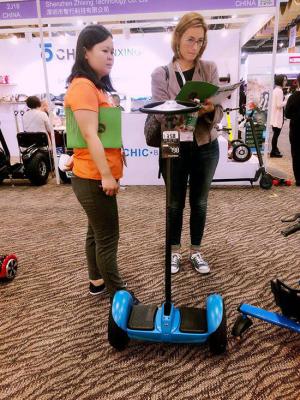 China Mini Standing Self Balance Segway Electric Scooter 19CM Tire With Handle Bar for sale