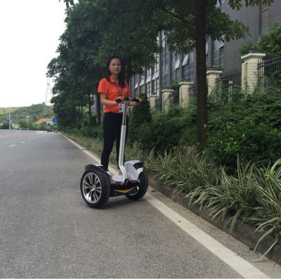 China Freego weg vom Straße Segway-Miettransporter mit Schlüssel-/Geschwindigkeits-Verschiebung der Informations-2.4GHZ zu verkaufen