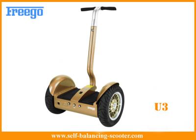 China City Road Power Display Segway self-balancing electric scooter for CE approval for sale