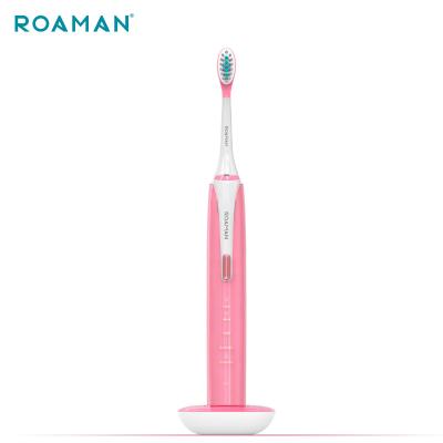 China Customized 48000RPM LED Battery Powered Adult Smart Ultrasonic Toothbrush for sale