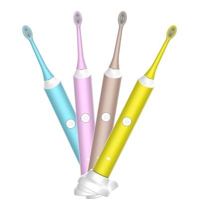 China Custom Adult Electric Toothbrush Battery Operated Sonic Electric OEM Ultrasonic Automatic Electric Smart Toothbrush for sale