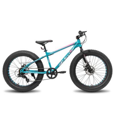 China JOYKIE popular ready to board youth bicycle 20x4.0 tire mtb snow beach 20 inch 24 inch fat tire mountain bikes for sale