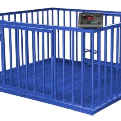 China Carbon steel or stainless steel scale for cattle/sheep/pig livestock scale with fence for sale