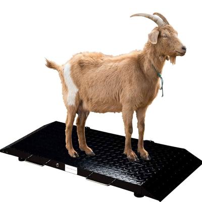 China Carbon Steel Or Stainless Steel Hot Selling Animal Weigh Scales / Livestock Platform Scales Without Fence Or With Fence Weigh Scale for sale