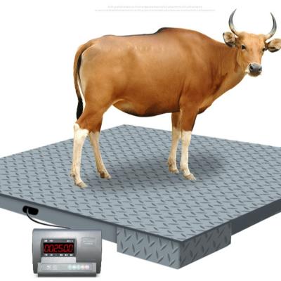 China Carbon Steel Or Stainless Steel Cattle Weigh Scale For Cattle Cow Animal Scale Weighing Scale for sale