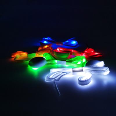 China Printed Party Supplies Event Decoration Lace LED Luminous Nylon Running Shoe Lights Up Custom LED Laces for sale