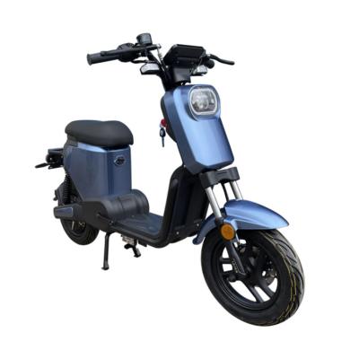 China New Energy Steel Mini Car 2Wheel Electric Bike EEC Approval Electric Bike Made in China for sale