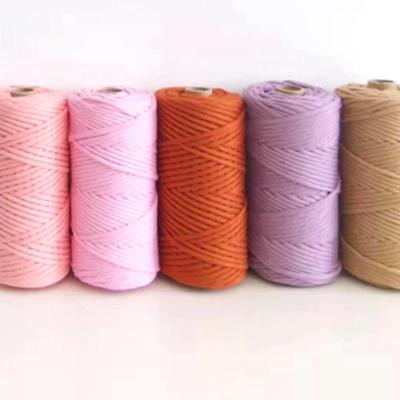 Chine Sustainable High Quality 3mm Macrame Rope Cotton Cords Single Strand Cotton Rope à vendre