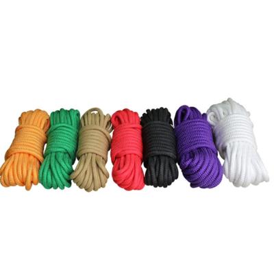 中国 Acceptable Wholesale High Quality Braided Dog Leash Customized Nylon Rope 販売のため