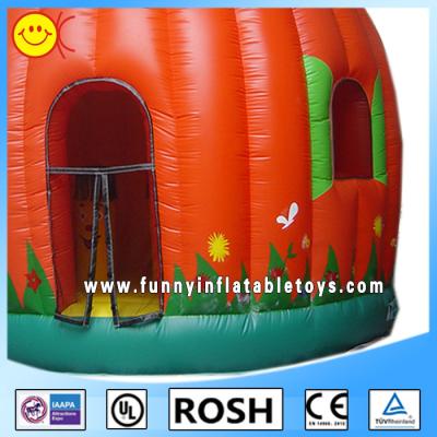 China Full Printing Lovely Inflatable Pumpkin Bouncer Blow Up Obstacle Course for sale