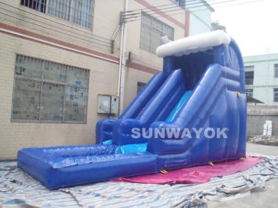 China Blue Outdoor inflatable water slide with pool , Giant Inflatable Water Toys for sale