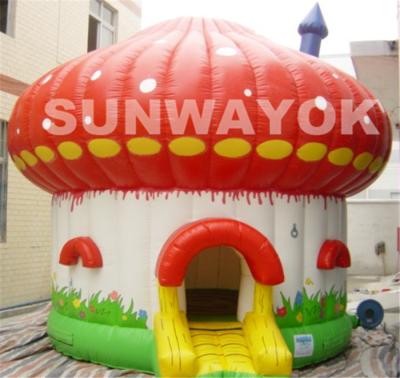 China Small Strawberry Cartoon Inflatable Bouncer House For Amusement Park for sale