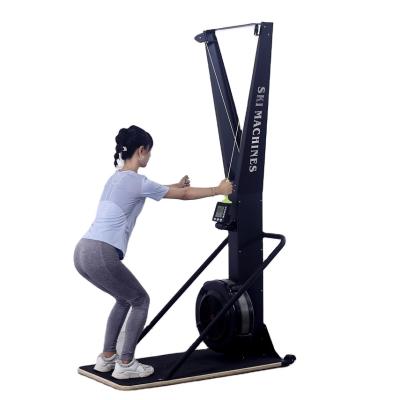 China Wind Steel Home Supplier China Supplier Fitness Ski Machine Exercise Use With Ergonomic Handle for sale