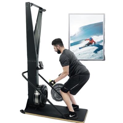 China Commercial Steel Skyboard Rowing Supplier Training Skiing Machine for sale