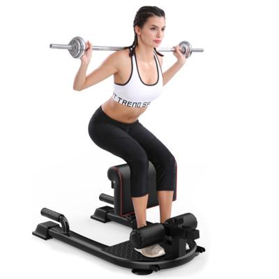 China Multifunctional Living Room Fitness Use 3-in-1 Padded Hip and Leg Lift Sit Deep Sissy Squat for sale