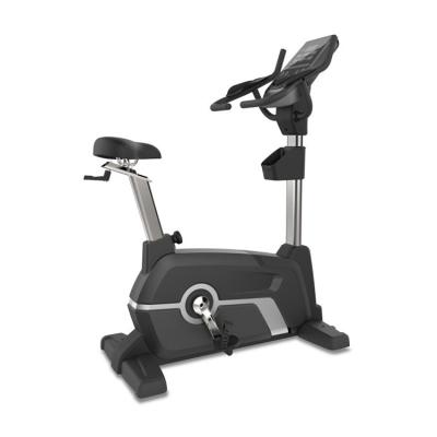 China Universal Skyboard Gym Equipment with Monitor for Disabled Retraining Exercise Bike for sale