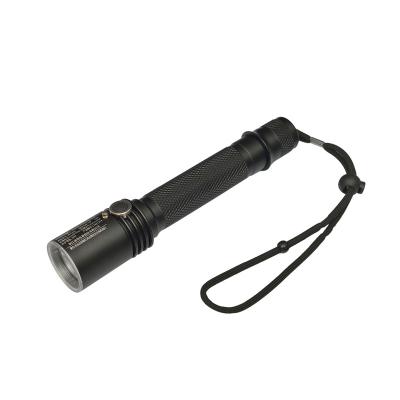 China Dangerous ZONE 1/2 of sector; ZONE 21/22 Factory Supply Portable Flashlight Recharge Torch Explosion Proof Igniting Light for sale