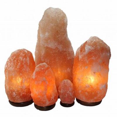 China Europe Natural Shape 7-10Kg Hand Carved Pakistan Switch Rock Salt Himalayan Lamp for sale