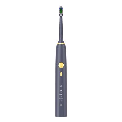 China 2000mAh Battery Ultrasonic Waterproof Electric Toothbrush For Adults for sale