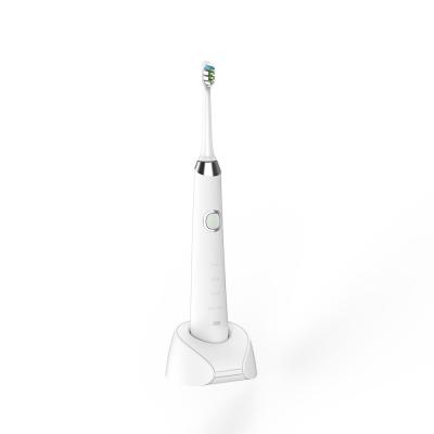 China Travel Advanced IPX7 Usb Sonic Toothbrush 800mAh For Gum Health for sale