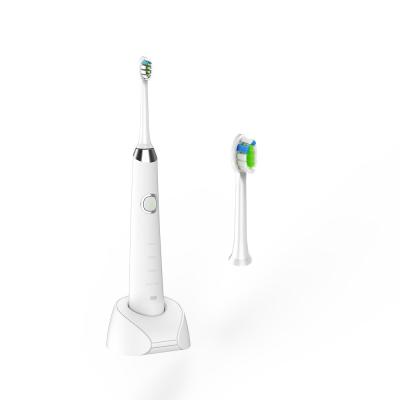 China Eco Gum Sonic Rechargeable Electric Toothbrush With Replacement Heads FCC for sale