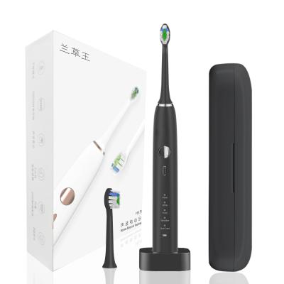 China Hanasco IPX8 Sensitive Electric Toothbrush , 2000mAh Gentle Electric Toothbrush for sale