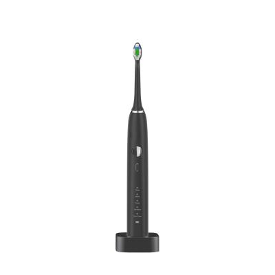 China Custom Sonic Waterproof Electric Toothbrush FAD DuPont Brush Head for sale